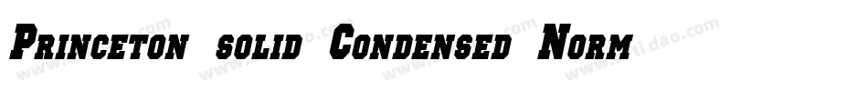 Princeton solid Condensed Normal字体转换